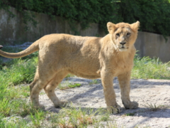fotodijon_Nature_10